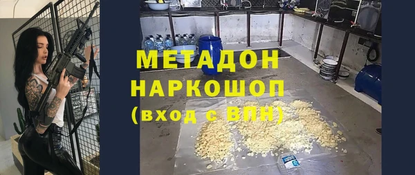 шишки Верея